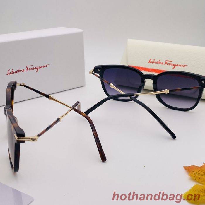 Salvatore Ferragamo Sunglasses Top Quality SFS00142